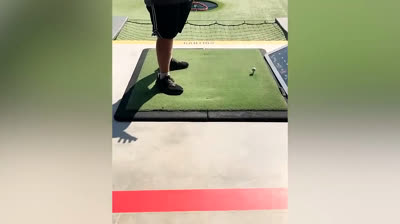 Best Funny Videos to Brighten Your Day: Guaranteed Laughter