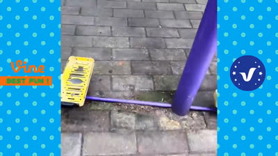 Viral Funny Videos: The Humor that Conquered the Internet