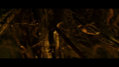 O último bruxo (Rx7)