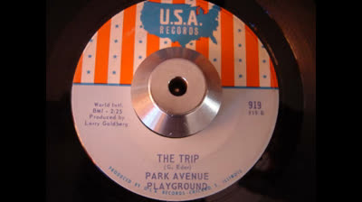 Park Avenue Playground (1967) - The trip