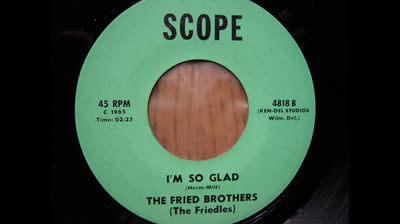 Fried Brothers (1965) - I'm So Glad