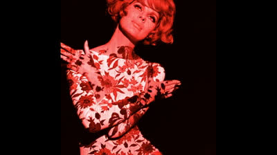 Vandals (1967) - You Lied To Me