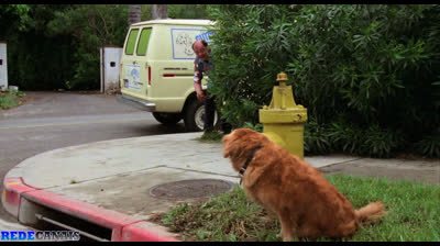 Aligator 1 - O Jacare Gigante