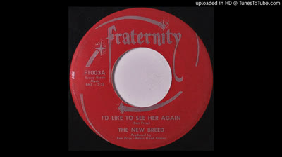 New Breed (1968) - I'd like to see her again