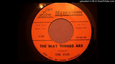 Flys (1966) - The way things are