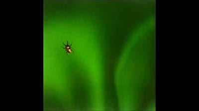 Catherine Lambert & Normand Vanasse (2004) - Si mon coeur (If I fell)