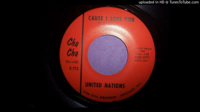 United Nations (1966/67) - Cause I love you
