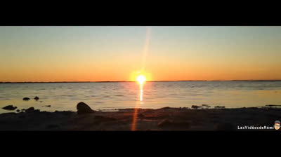 Episode 3: La Camargues