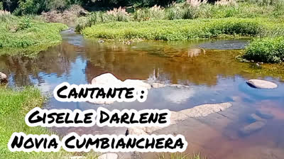 Novia Cumbianchera Yo te voy a amar canta Giselle Romina Castillo Vargas