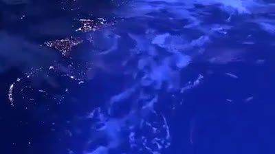 Secret de l'Antartique