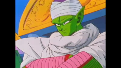 Dragon Ball Z S1 E206