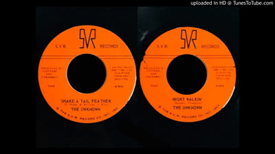 Unknown (1966) - Shake A Tail Feather / Night Walkin'