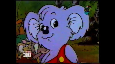 Blinky Bill- Marcia lincompresa