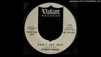 Plymouth Rockers (1966) - Don't Say Why